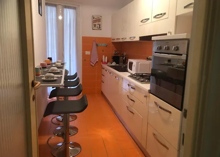 The Colours Of Roma